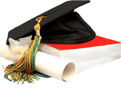 NANGA HIGH SCHOOL Logo